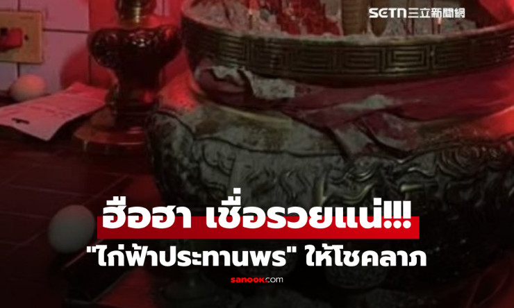 ฮือฮาทั้งศาลเจ้า! ไก่ทองคำโผล่ให้โชค วางไข่ในเตาเผากระดาษเงิน คนแห่ส่องเลขกันไม่พัก