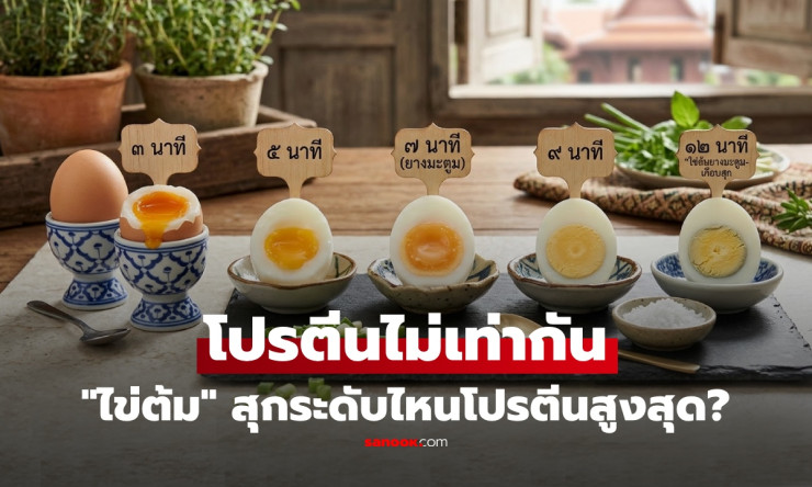 ช็อกเลย! ไข่ดิบ vs ไข่ลวก vs ไข่ต้ม โปรตีนใครชนะ? กินยังไงได้ประโยชน์พุ่งกระฉูด!
