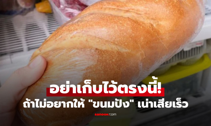 ราชาขนมปัง เตือน! ไม่อยากหมดอร่อย อย่าเก็บไว้ที่นี่เด็ดขาด คนไทยทำผิดมาตลอด