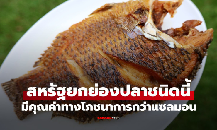 ปลานิลไทย สุดยอดคุณค่าทางโภชนาการที่สหรัฐฯ ยกย่องมากกว่าแซลมอน