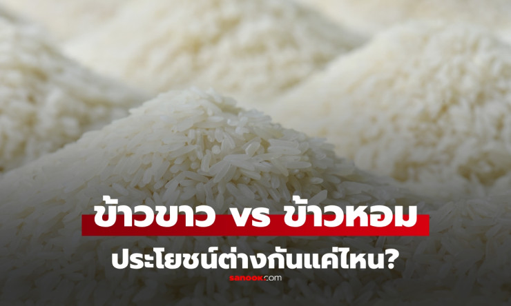 ข้าวขาว กับ ข้าวหอม ต่างกันอย่างไร? ประโยชน์และความแตกต่างที่ควรรู้