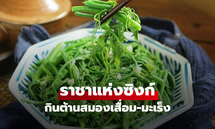 ช็อกเลย! ผักพื้นบ้าน ราชาแห่งซิงก์ กินทีเดียวต้านสมองเสื่อม-มะเร็ง ห้ามกินคู่ 2 อย่างเด็ดขาด มิฉะนั้