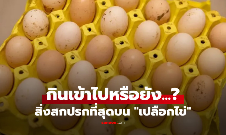 รู้หรือไม่? เปลือกไข่ที่คุณกิน อาจซ่อนเชื้อโรคอันตรายที่ไม่เคยรู้มาก่อน