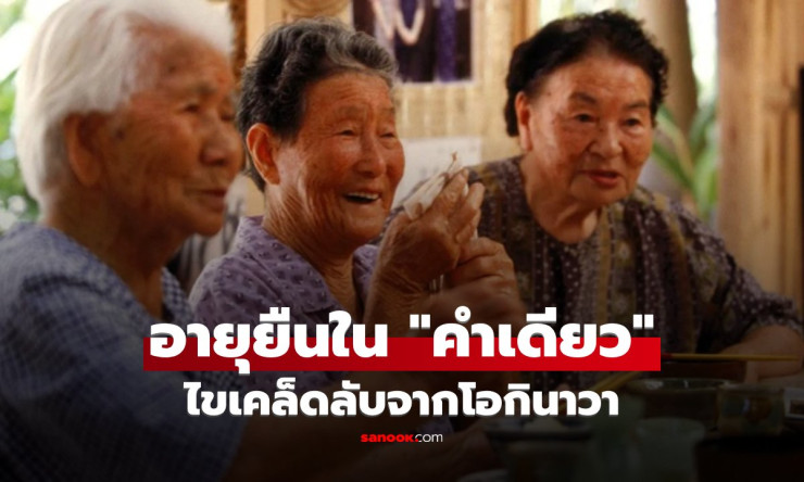 อายุยืนไม่ต้องกินยา! คนญี่ปุ่นยึดแค่คำเดียว Ikigai ในการมีชีวิตที่ดี