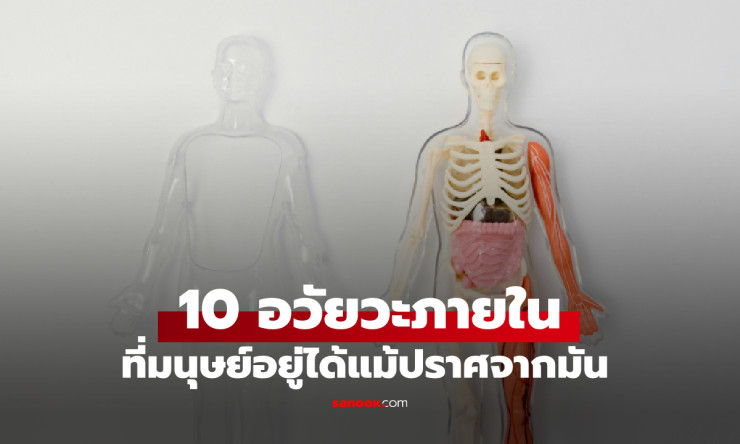 หมอเมืองนอกเผย 10 อวัยวะที่มนุษย์ยังมีชีวิตอยู่ได้แม้ไม่มีมัน อันดับ 1 เดาไม่ยาก
