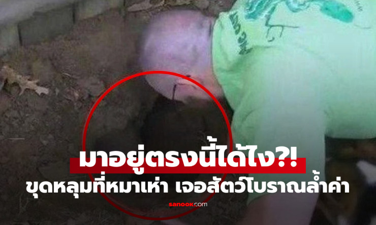 เอะใจ หมาเห่าหลุมหลังบ้าน ขุดพิสูจน์แทบไม่เชื่อตา เจอเต่ายักษ์โบราณ อายุเป็นร้อยปี!!!