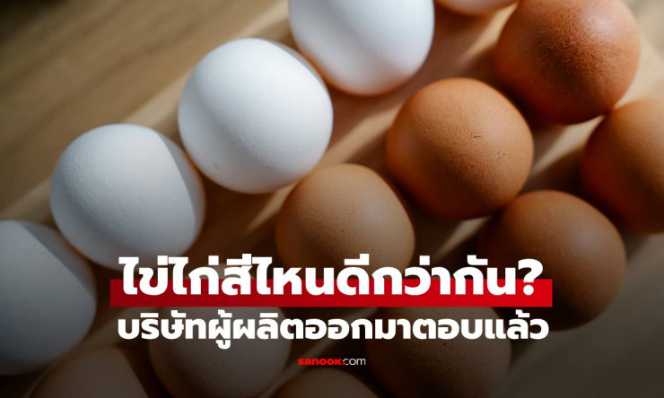 ไข่ไก่เปลือกสีน้ำตาลอร่อยกว่าไข่เปลือกสีขาว จริงหรือไม่? คำตอบจากผู้ผลิตไข่ไก่