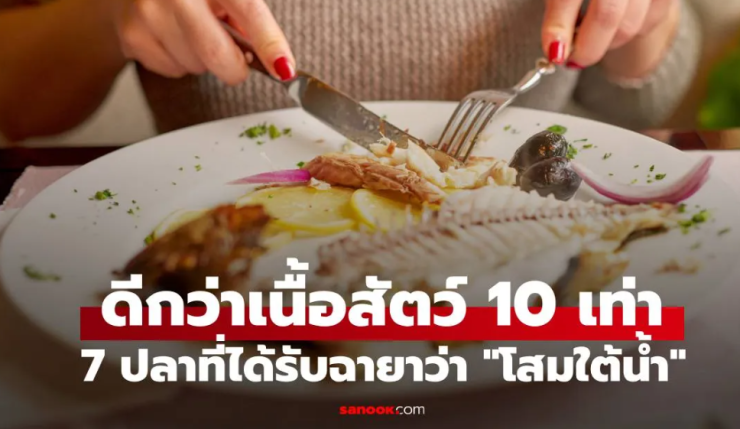 ปลา 7 ชนิด โสมใต้น้ำ ดีต่อสุขภาพยิ่งกว่าเนื้อสัตว์ถึง 10 เท่า