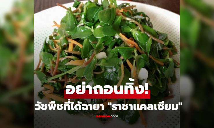 ช็อก! วัชพืชริมทางที่บ้านคุณ ราชาแคลเซียม-โอเมก้า3 แน่นเวอร์ กินฟรีช่วยยืดอายุยืน!