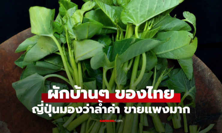 ผักบ้านๆ ไทยในญี่ปุ่น อาหารล้ำค่าบำรุงหัวใจ ล้างพิษ ขายแพงจนช็อก!